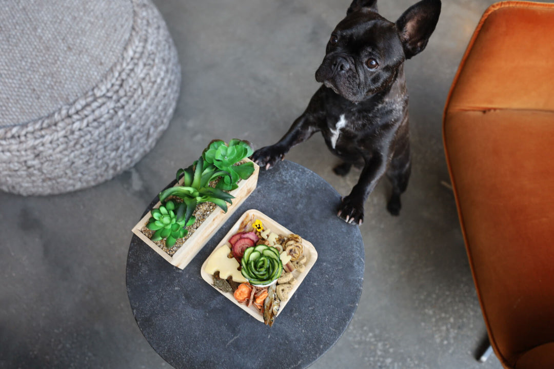 Artisan Eats Barkchuterie Platter for Columbus, Ohio events – perfect charcuterie for your furry loved one.
