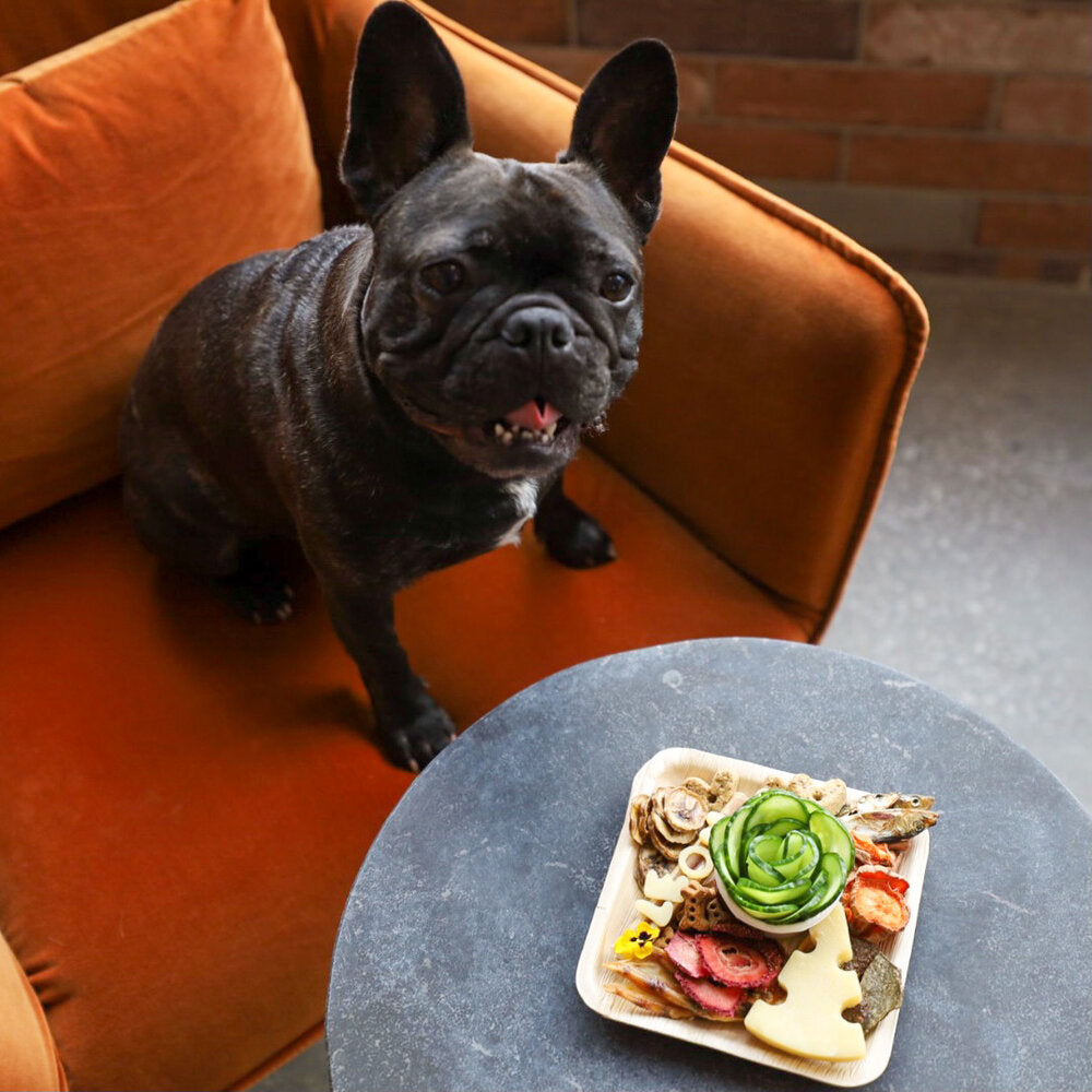 "Bone Appetit" Barkuterie Board